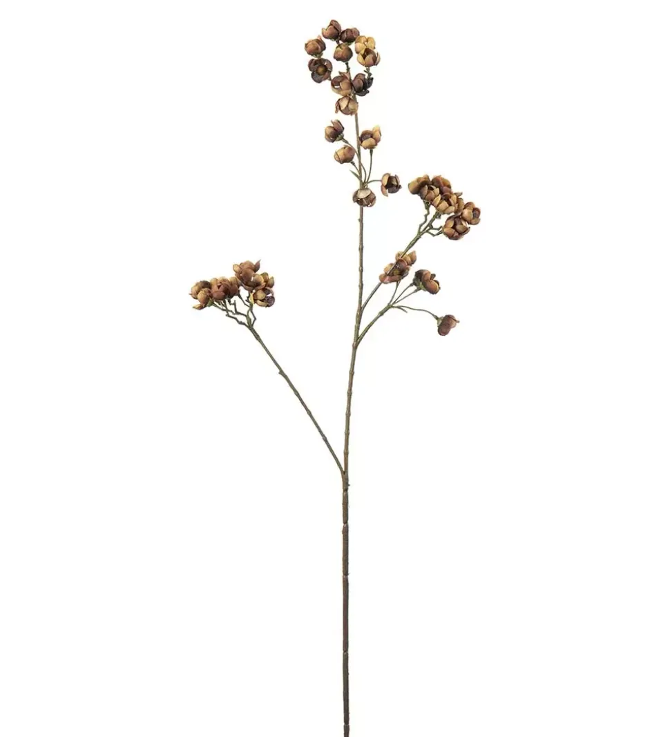 Ferskenblomst Brun H67