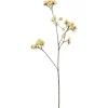 Ferskenblomst Gul H67
