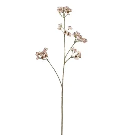 Ferskenblomst Hvit H67