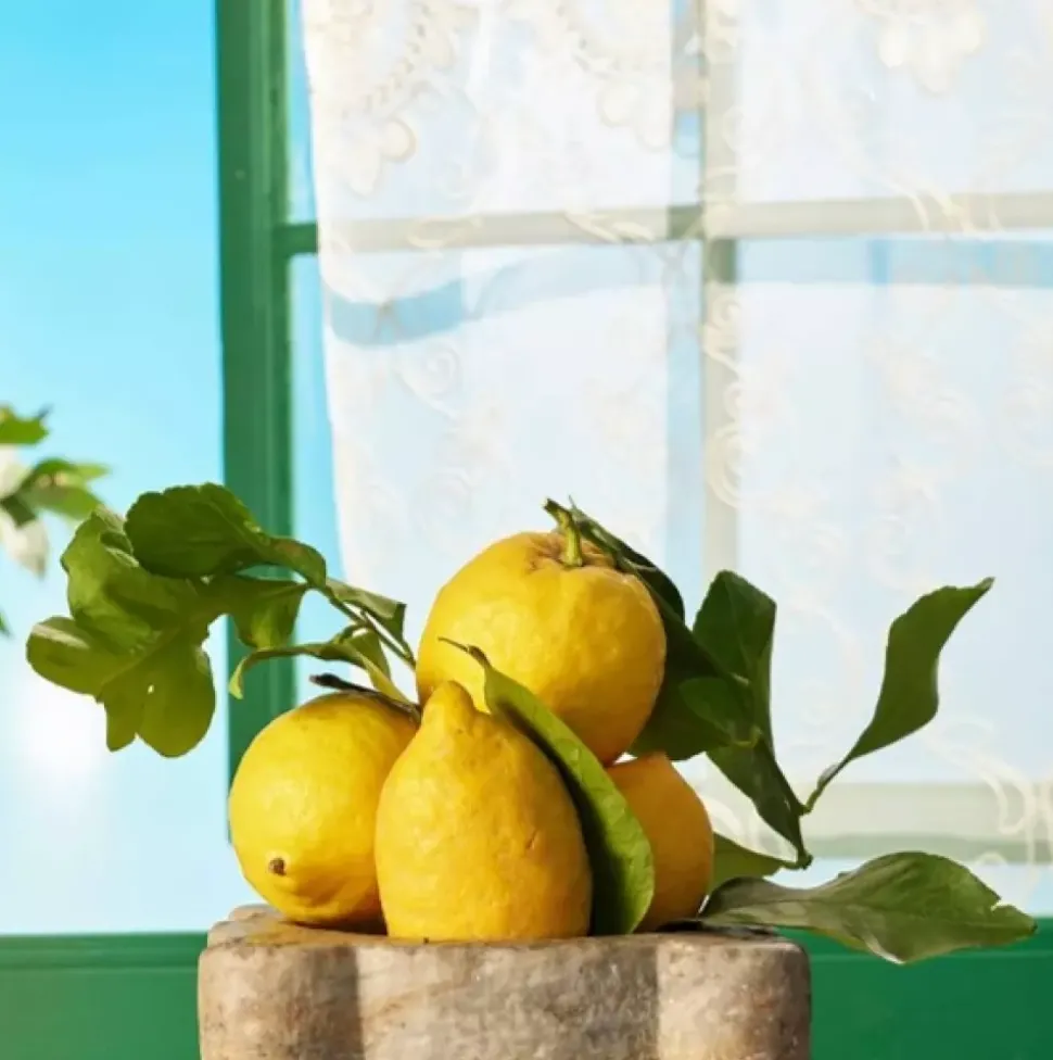 Flytende Såpe - Sicilian Lemon