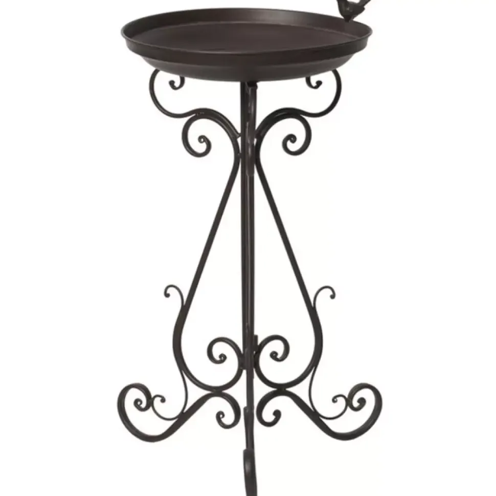 Gamin Fuglebad