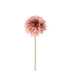 Gerbera Rosa H55