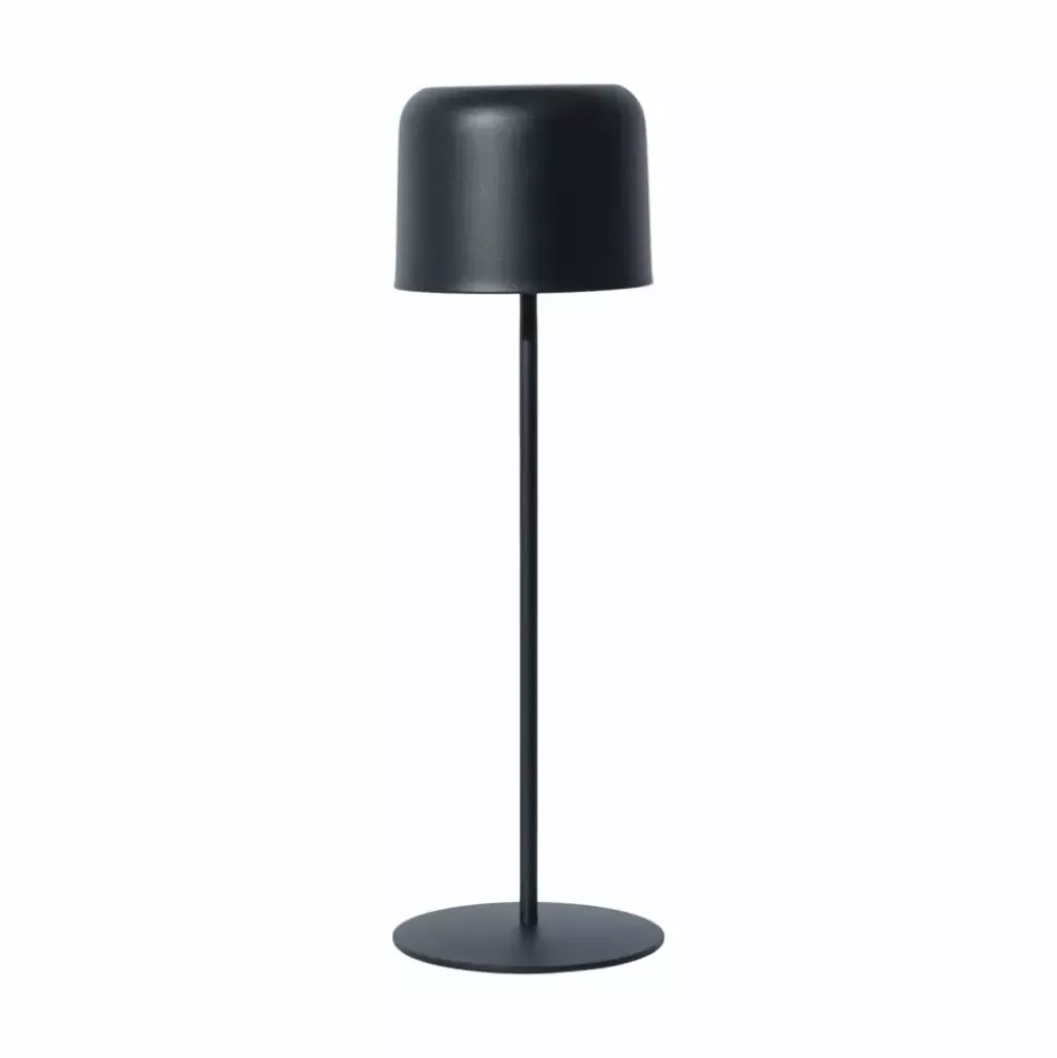 Giles Utendørs Ip44 Lamp 0,8m Usb Cable Excl. Adapter Black D12 H38
