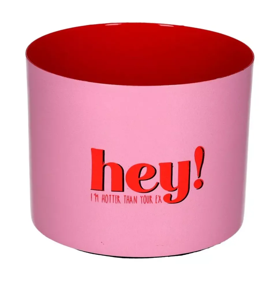 Goa Telysholder - Hey! I`m Hotter Than Your Ex