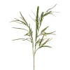 Grevillea Grønn H95