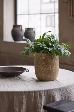 Grønn Plante H30