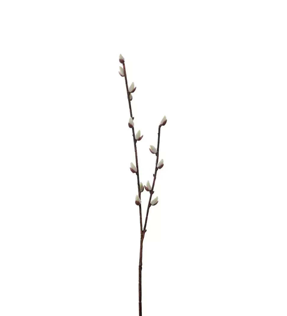 Gåsunger H57