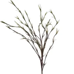 Happia Dekorblomst Grønn H30
