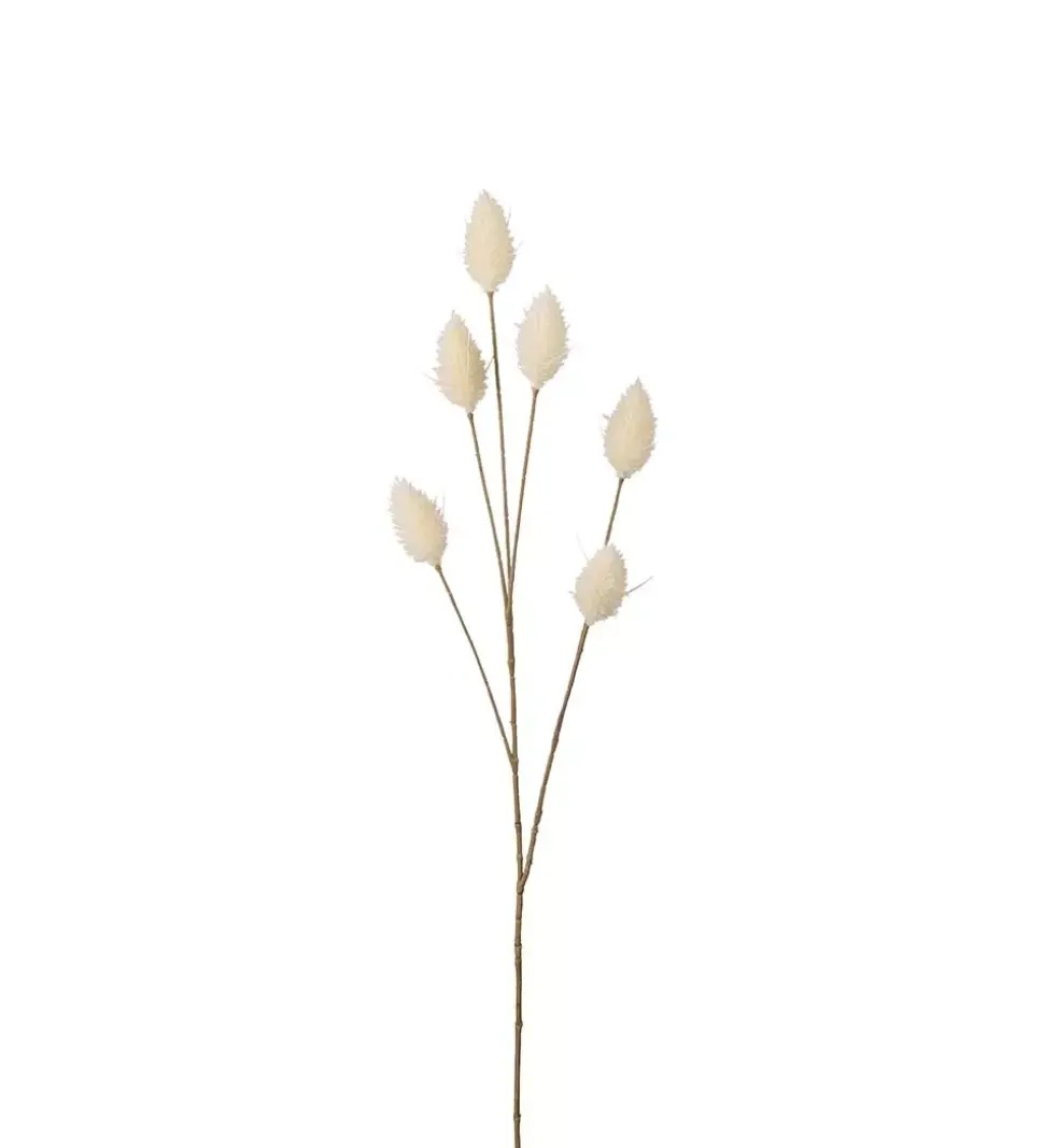Haresvans Beige H70