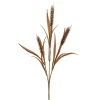 Havreblad Brun H65