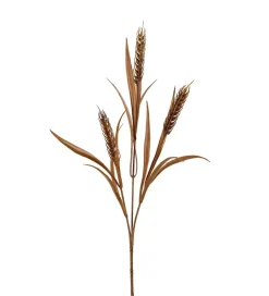 Havreblad Brun H65