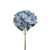 Hortensia Blå H48
