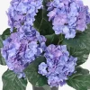 Hortensia Blålilla H37