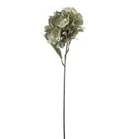Hortensia Grønn H60