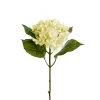 Hortensia Hvit H40
