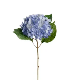 Hortensia Kvist Blå H40