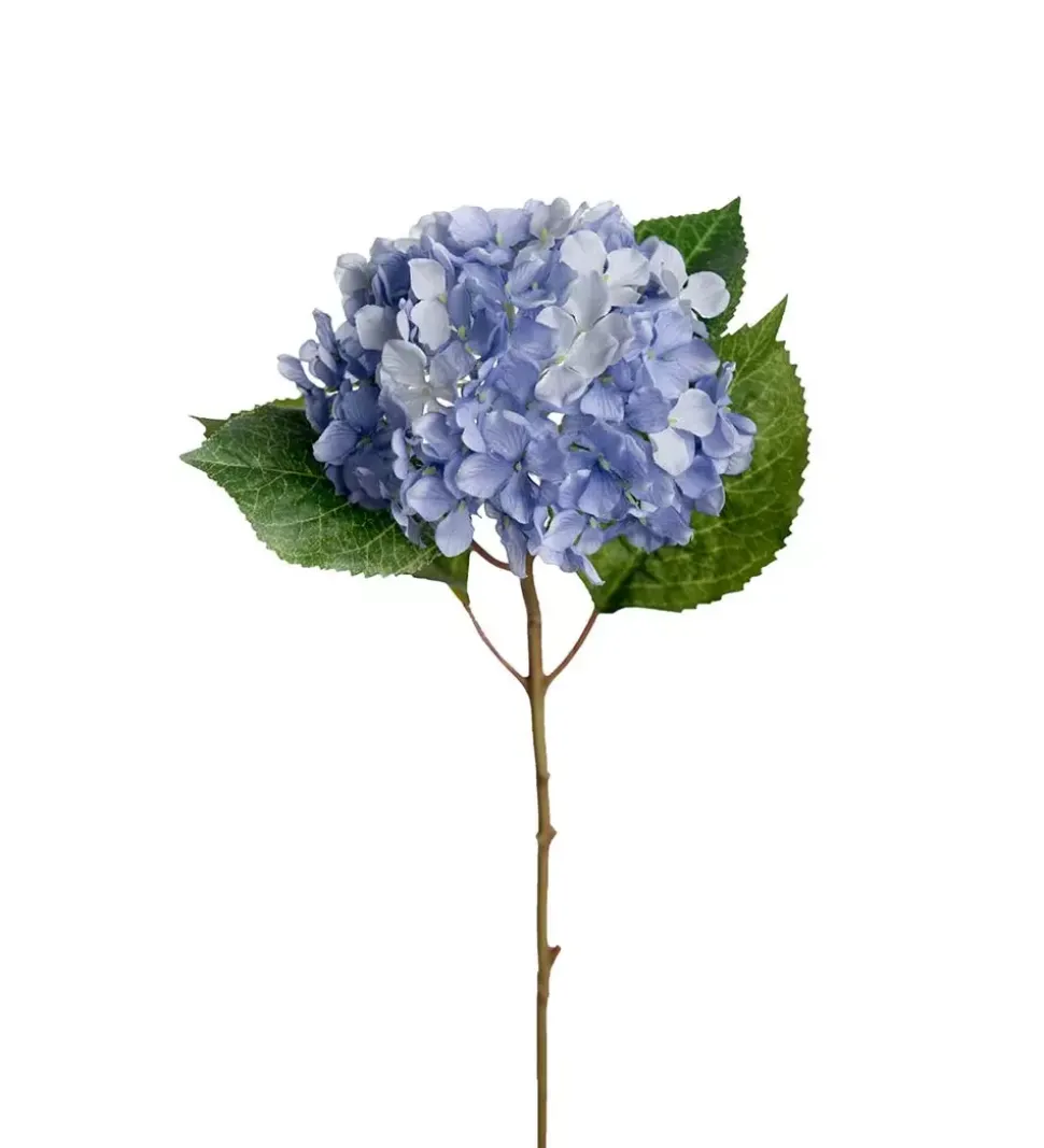 Hortensia Kvist Blå H40