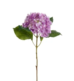 Hortensia Kvist Lilla H40