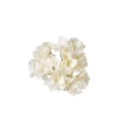 Hortensia Med Klype Krem