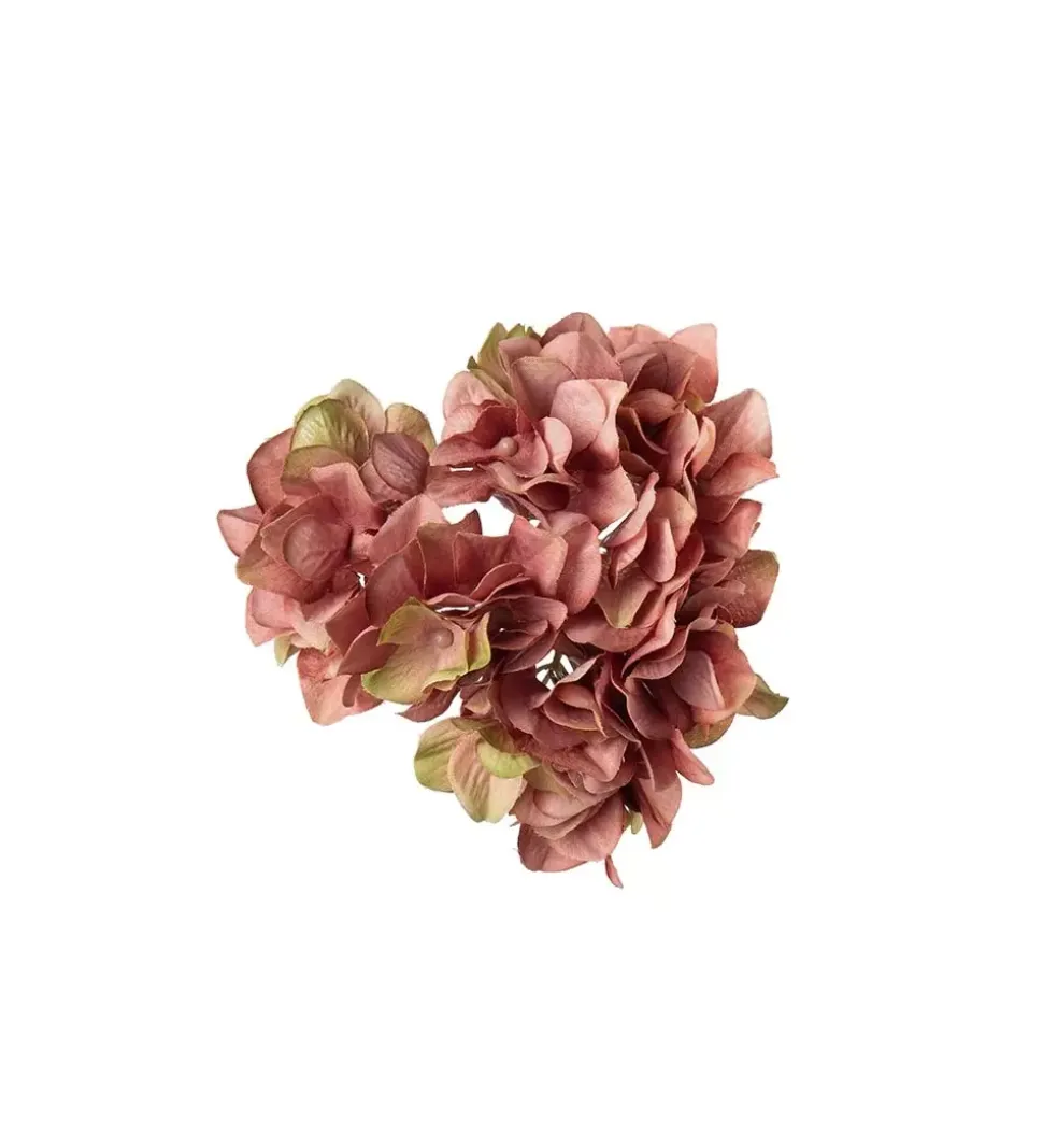 Hortensia Med Klype Rosa