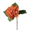 Hortensia Oransj H40