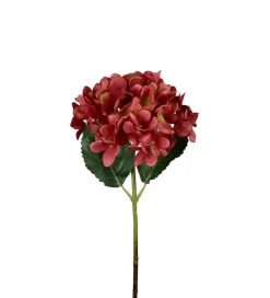 Hortensia Rød H48
