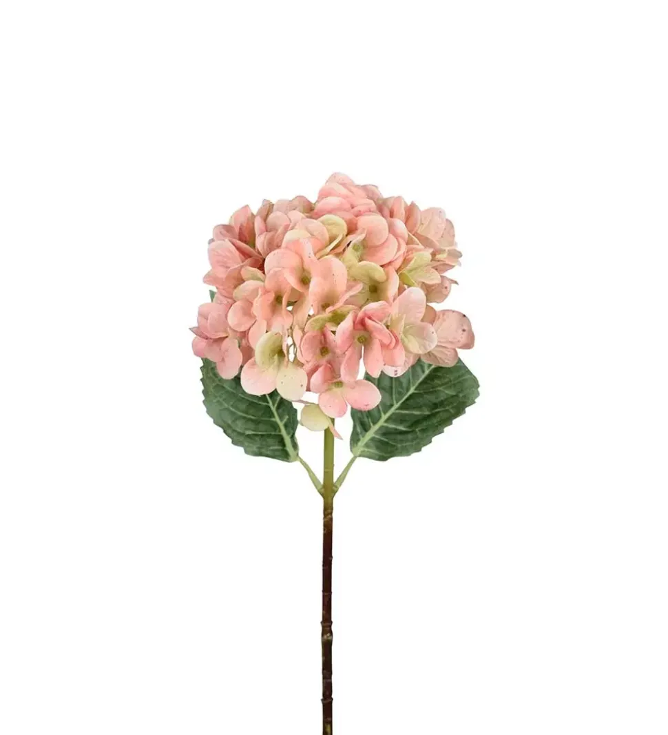 Hortensia Rosa H48