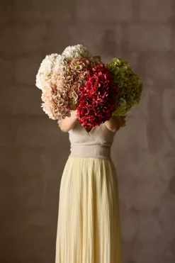 Hortensia Rosa H48