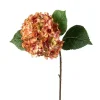 Hortensia Rosatoner H40