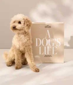 Hundealbum - A Dog's Life
