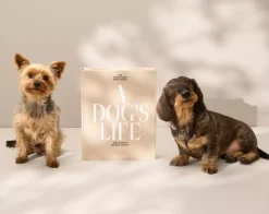 Hundealbum - A Dog's Life