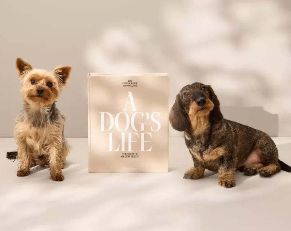 Hundealbum - A Dog's Life