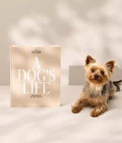 Hundealbum - A Dog's Life