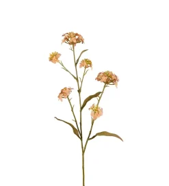 Iberis Blomsterkvist 60cm