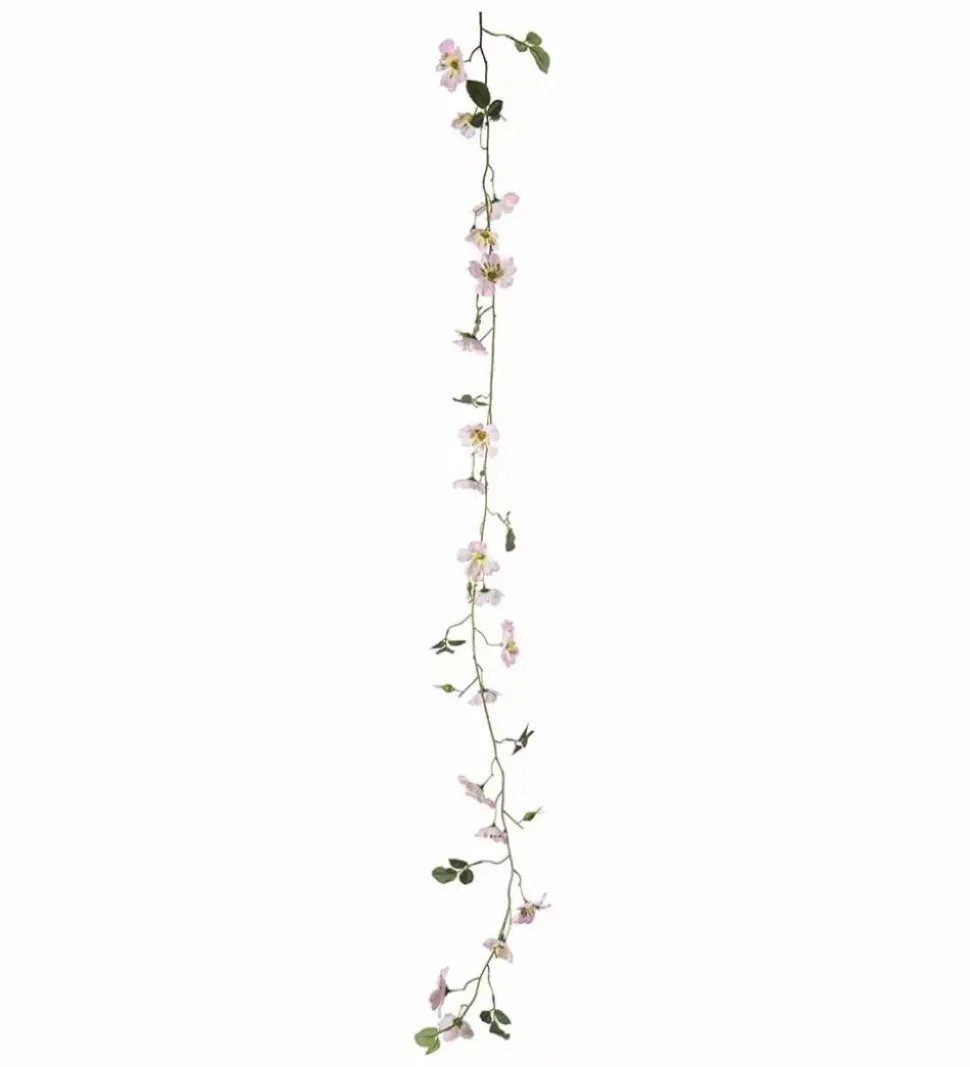 Japansk Klatrerose Girlander Rosa