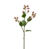 Jordbærkvist Rosa H65