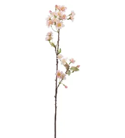 Kirsebærblomst Lyserosa H60