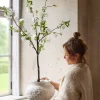 Kirsebærblomsttre Hvit H120