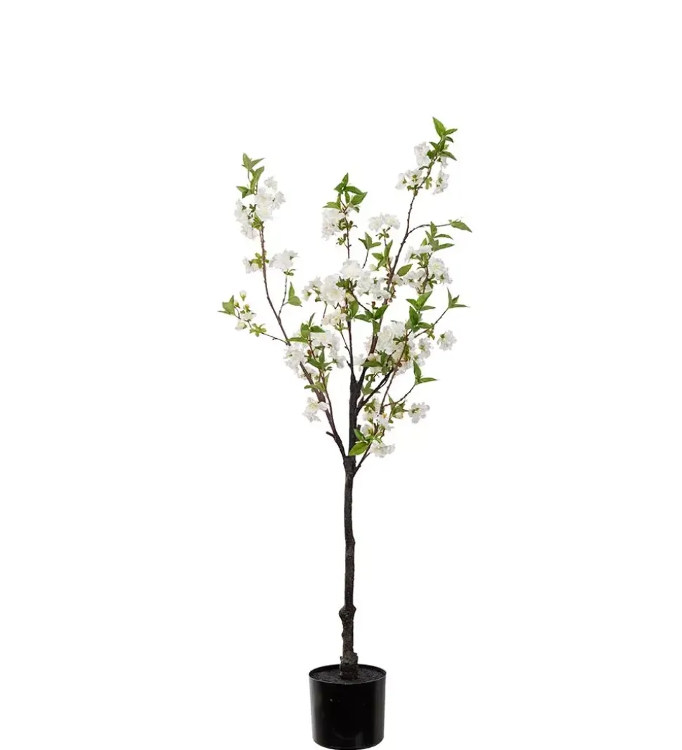 Kirsebærblomsttre Hvit H120