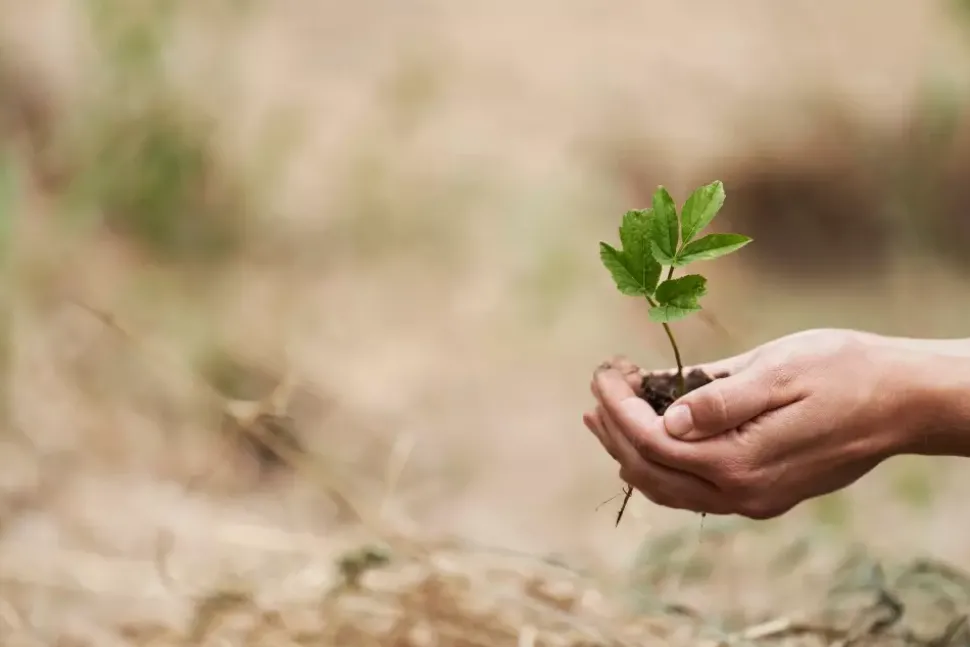 Klippan - Diamond Pledd Caramel