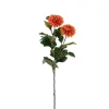 Krysantemum Oransje H53
