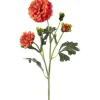 Krysantemum Oransj H52