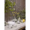 Ksenia Lyslykt/Vase H20 Klar