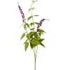 Lavendel Lilla 70cm