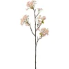 Lønnblomst Rosa H70