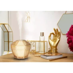 Luminaire Diffuser Gull Metall