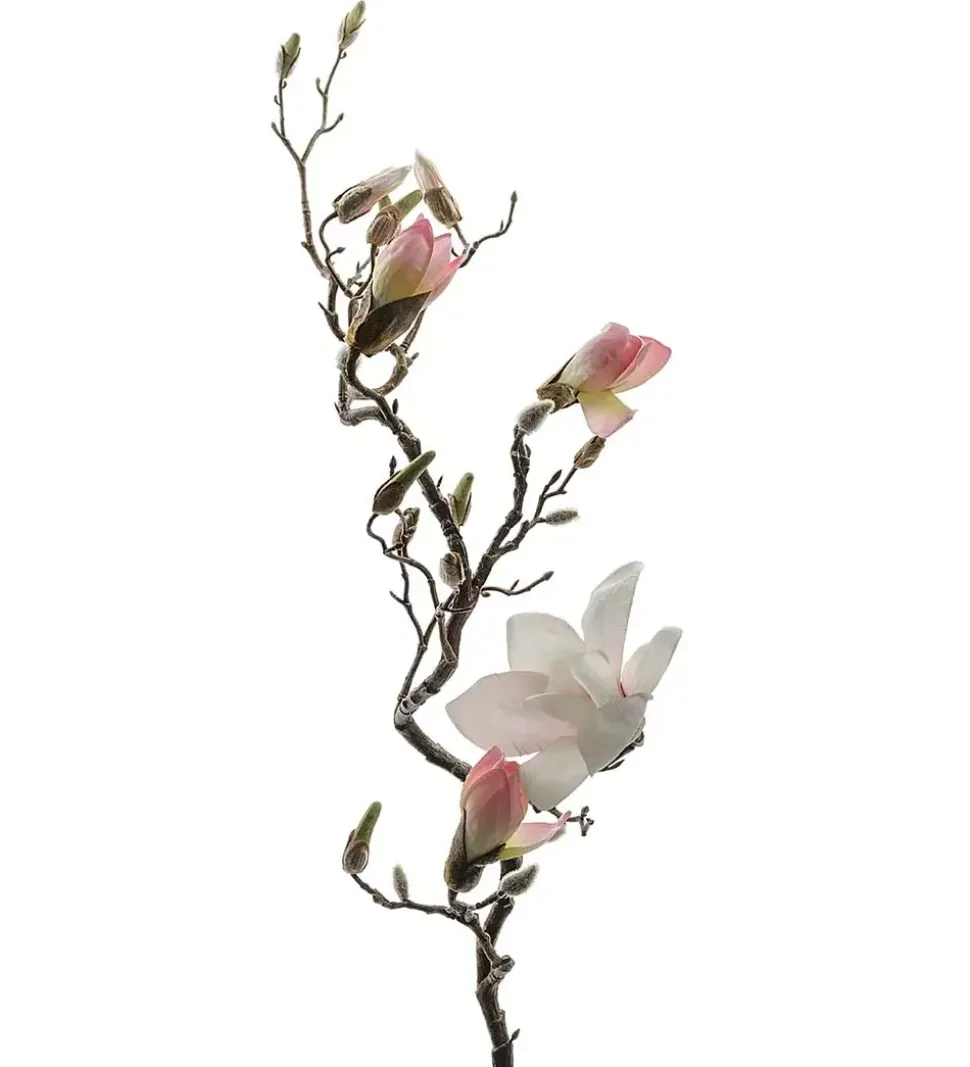 Magnolia H135