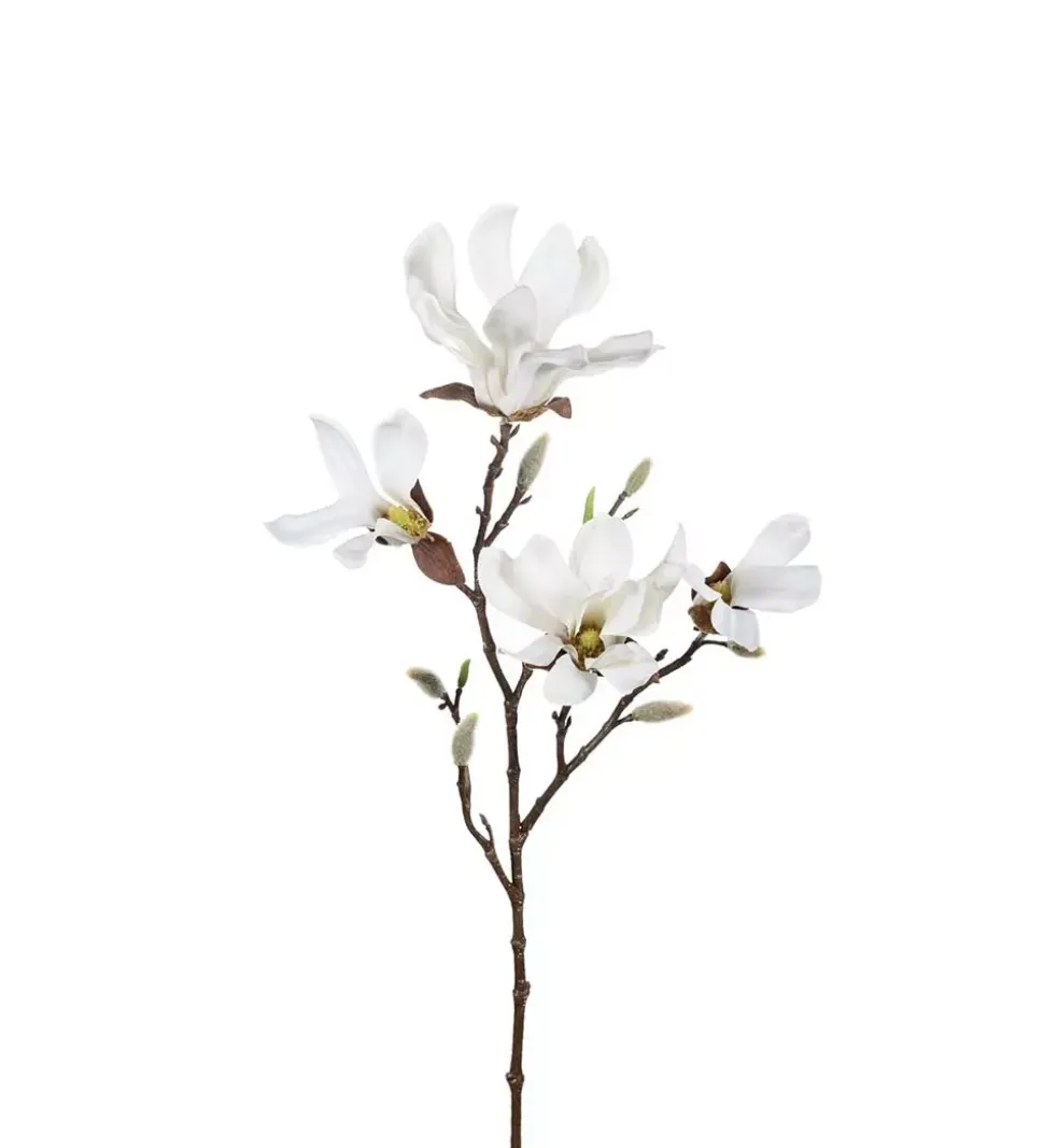 Magnolia H50 Hvit
