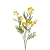 Mimosakvist Gul