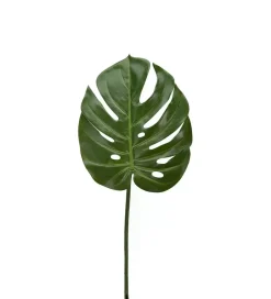 Monstera Blad H60